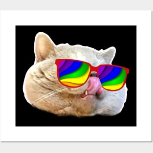 Crazy Sunglasses Cat Posters and Art